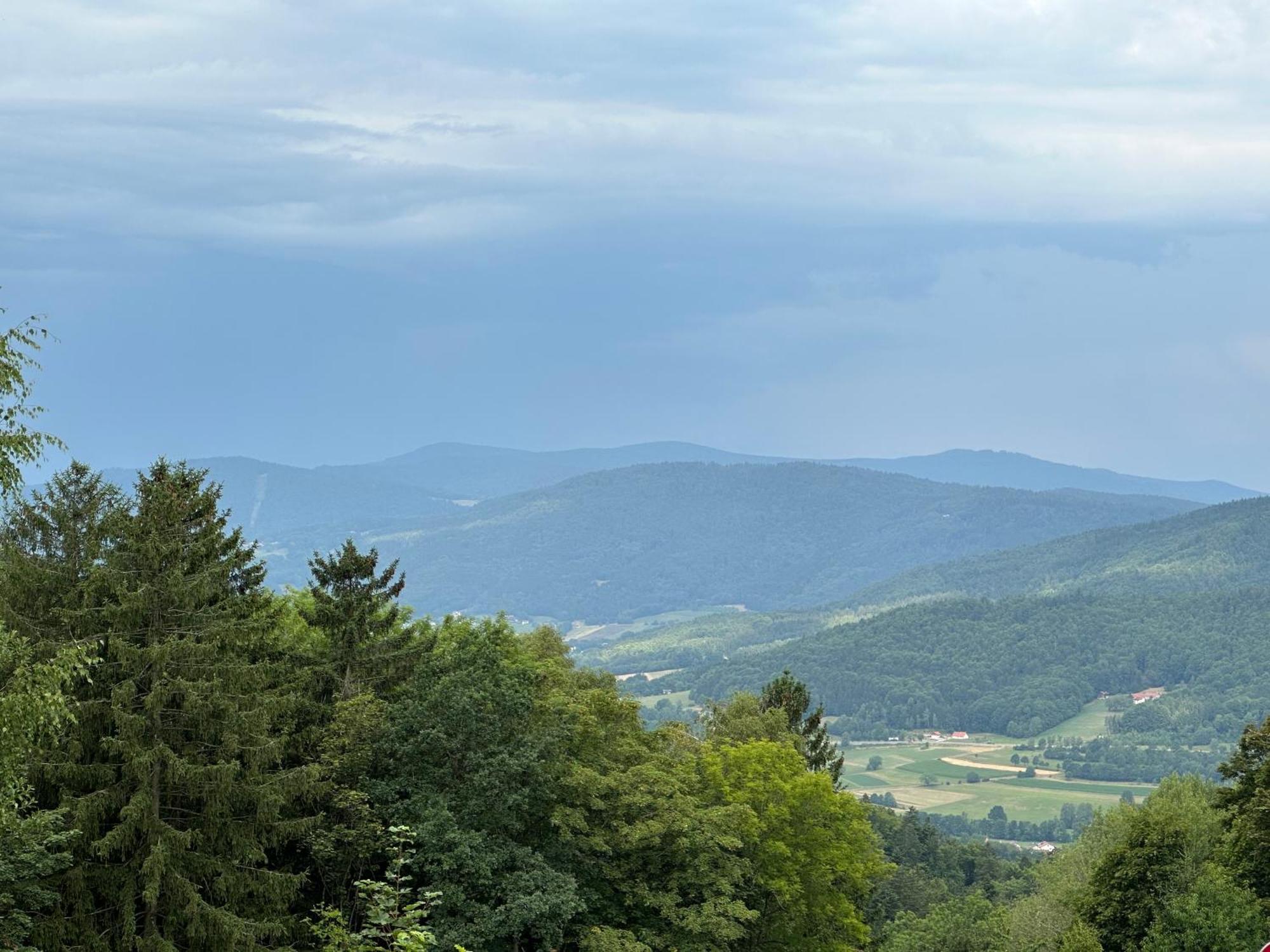 Uriges + Schoenblick + Mitten Im Bayerischen Wald + Wlan Kostenfrei * Schofweg