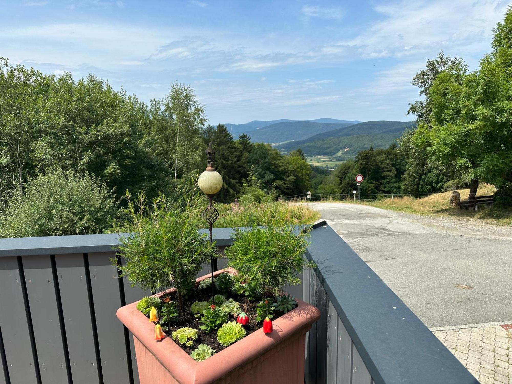 Uriges + Schoenblick + Mitten Im Bayerischen Wald + Wlan Kostenfrei Schofweg